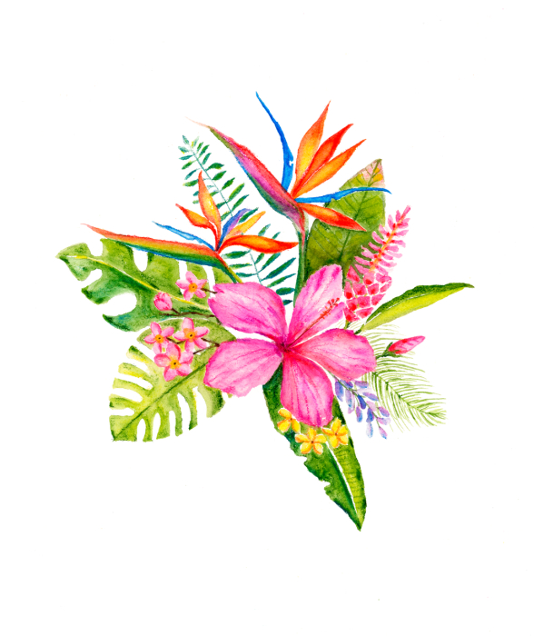 Creioane Colorate Aquarelle Goldfaber Tropical Collection, 12 Culori, Faber-Castell [2]