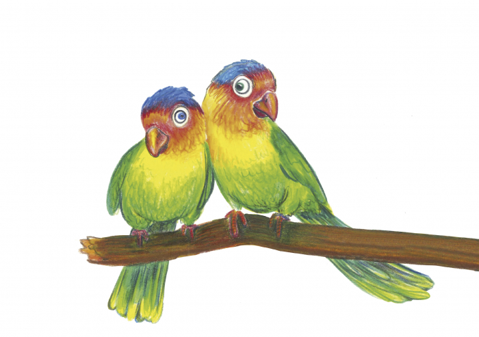 Creioane Colorate Triunghiulare 18+4+2 PROMO, Faber-Castell [2]