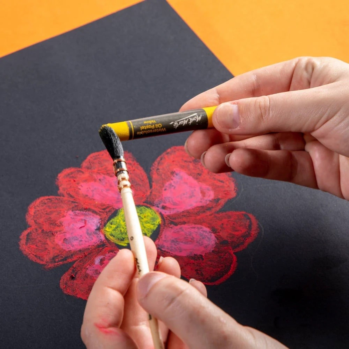 Pastel ulei solubil Mont Marte 12 buc/set [9]