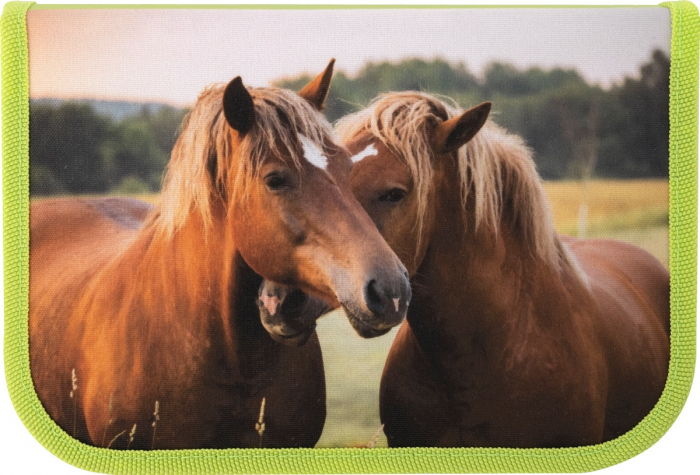 Penar Echipat 42 piese Cai, Eberhard Faber [3]