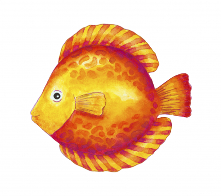 Creioane Colorate Acuarela 24 Buc si Pensula Faber-Castell [4]