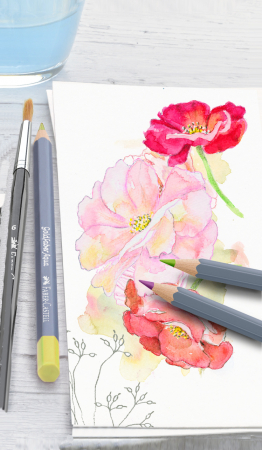 Creioane Colorate Aquarelle 36 Culori GoldFaber Cutie Studio, Faber-Castell [1]
