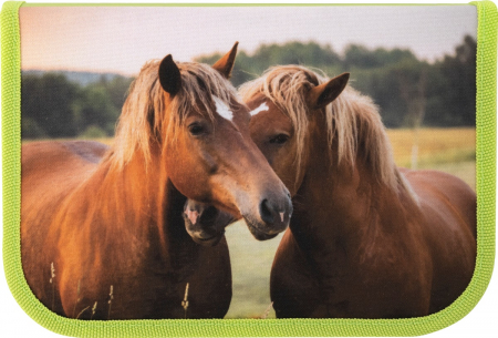 Penar Echipat 42 piese Cai, Eberhard Faber [2]