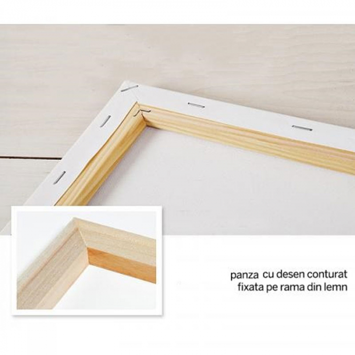 Pictură pe numere – Bufnița colorată, acuarele metalice, artanias.com [2]