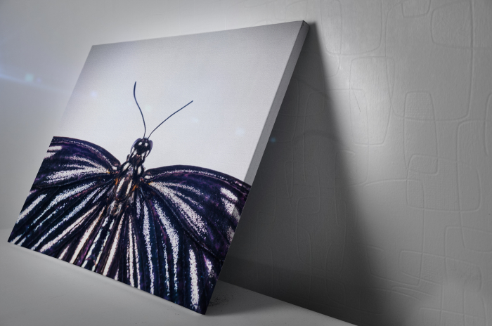 Tablou Canvas - Butterfly [3]