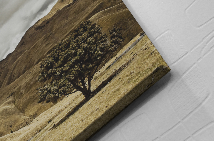 Tablou Canvas - One Tree [2]