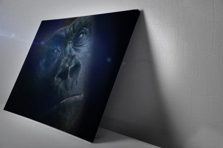 Tablou Canvas - Gorilla [2]