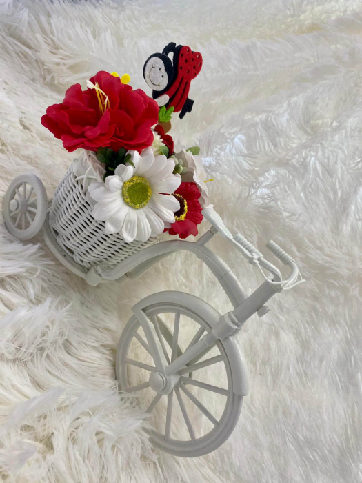 Aranjament bicicleta flori de sapun [6]