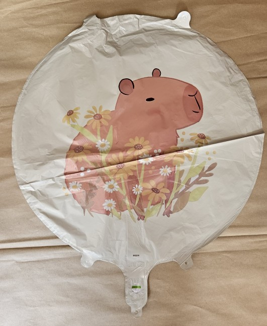Balon folie rotund Capybara 2 fete 45 cm [2]