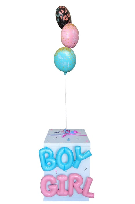 Cutie dezvaluire DIY [10]