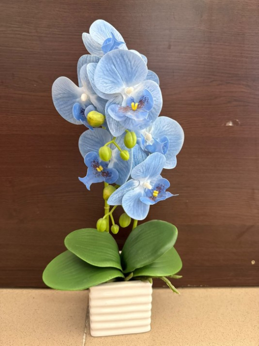 Orhideea mica decor [2]