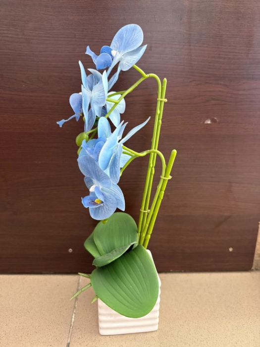 Orhideea mica decor [3]
