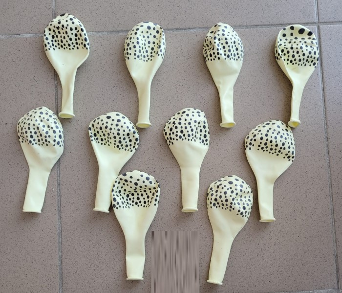 Set 10 baloane latex ivoire imprimat leopard 30 cm [5]