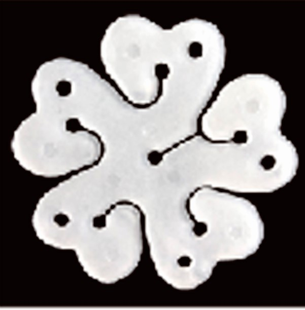 Set 10 sabloane flori 5 petale 6 cm [2]