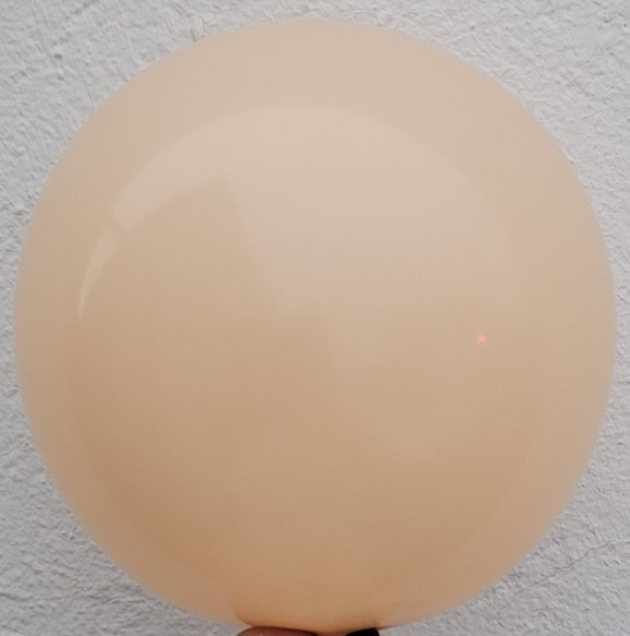 Set 100 baloane latex camel 13 cm [2]