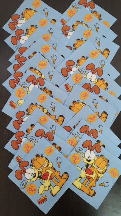 Set 20 servetele Garfield 33 cm [3]