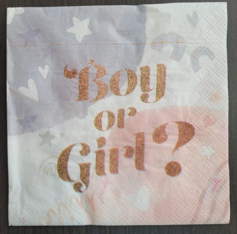 Set 20 servetele hartie Boy or Girl 33 x 33 cm [2]
