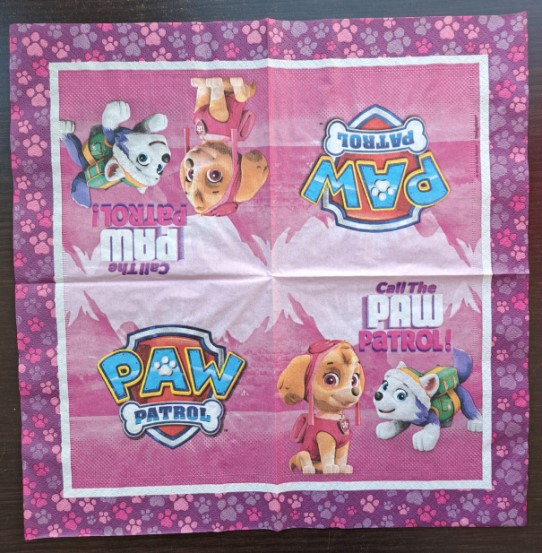 Set 20 servetele Paw Patrol Everest Skye 33 x 33cm [2]