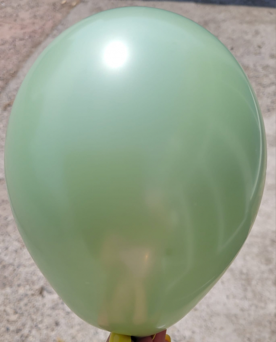 Set 25 baloane latex green rosemary / verde rozmarin 13 cm [3]