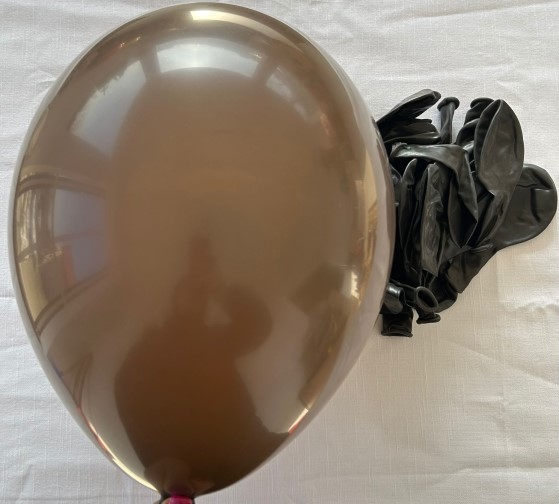 Set 25 baloane latex maro inchis 30 cm [2]