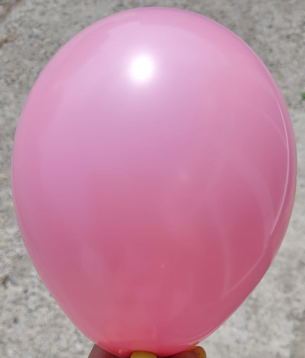Set 25 baloane latex wild rose / roz salbatic 13 cm [3]