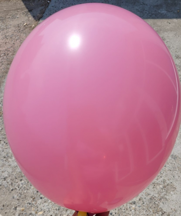 Set 25 baloane latex wild rose / roz salbatic 30 cm [4]