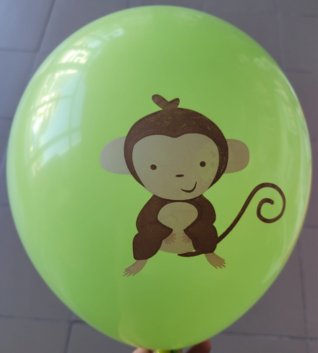 Set 5 baloane latex animalute zoo 30 cm [6]