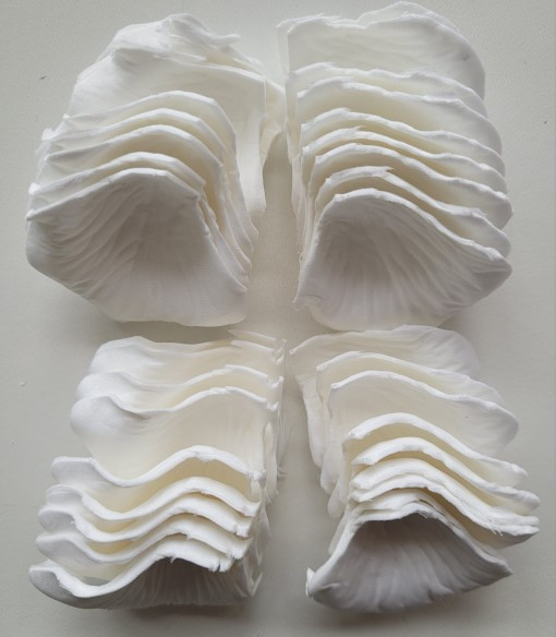Set 500 petale albe plastic 5 cm [2]