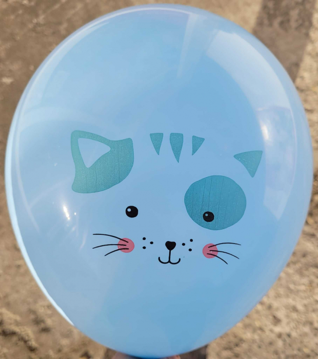 Set 6 baloane de latex pisici 30 cm [7]