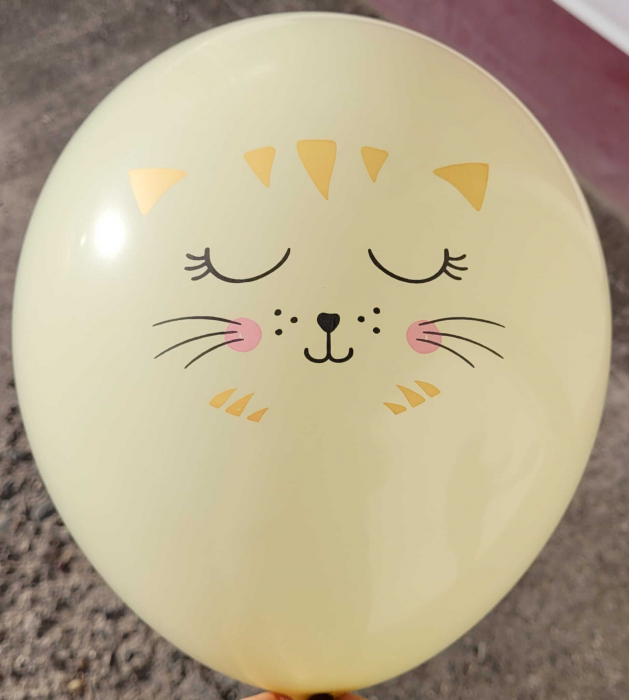 Set 6 baloane de latex pisici 30 cm [3]