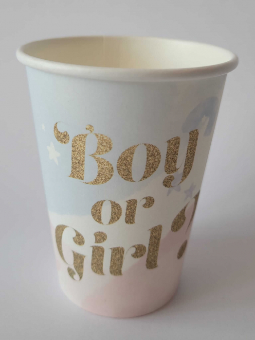 Set 8 pahare carton Boy or Girl 250 ml [3]