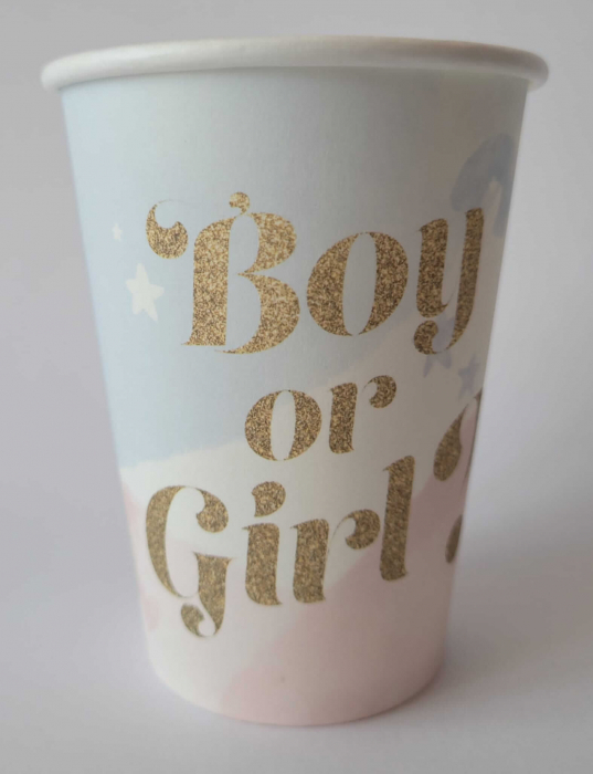 Set 8 pahare carton Boy or Girl 250 ml [2]