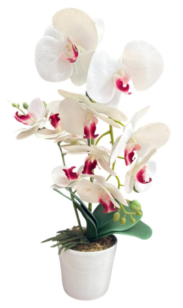 Articole pentru petrecere - Orhideea mare decor