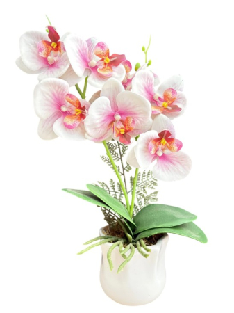 img-attr