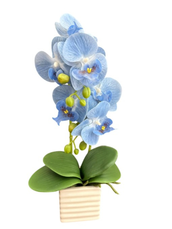 Articole pentru petrecere - Orhideea mica decor