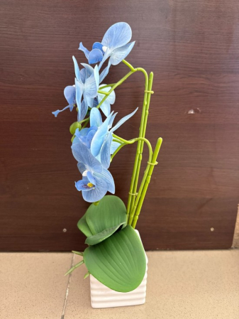Orhideea mica decor [2]