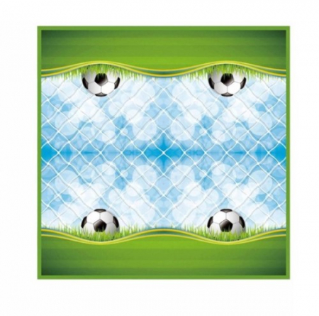 Servetele pentru petreceri - Set 20 servetele fotbal minge 33 cm