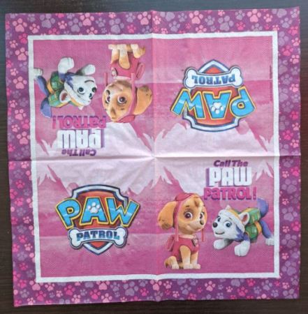 Set 20 servetele Paw Patrol Everest Skye 33 x 33cm [1]
