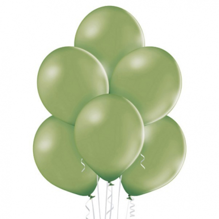 Zoo - Decoratiuni pentru petrecere tematica - Set 25 baloane latex verde rozmarin 30 cm