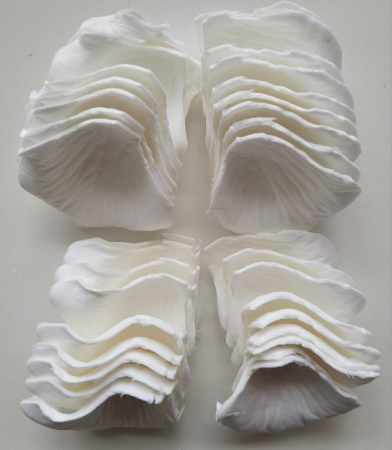 Set 500 petale albe plastic 5 cm [1]