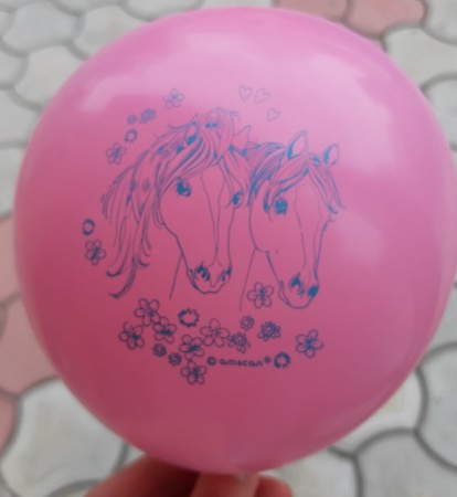 Set 6 baloane latex cai 23 cm [1]