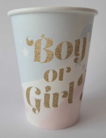 Set 8 pahare carton Boy or Girl 250 ml [1]