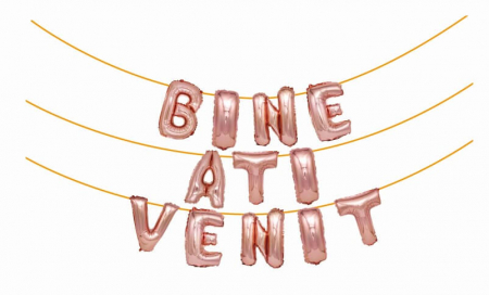 Set baloane folie Bine ati venit rose gold 40 cm [1]