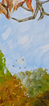 Timisoara toamna [3]