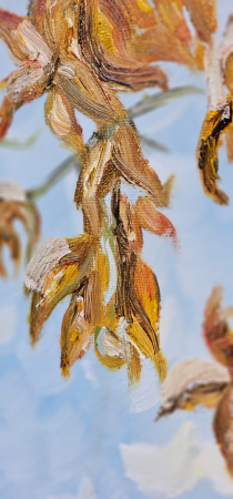 Timisoara toamna [1]