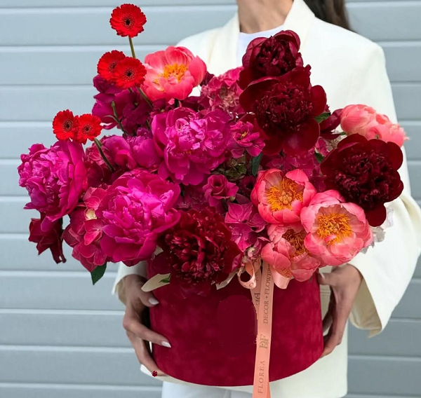 CUTII CATIFEA, rotunde