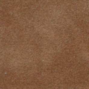 Antilope06
