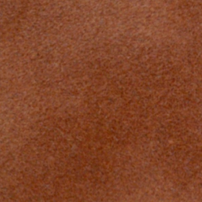 Chamois 04