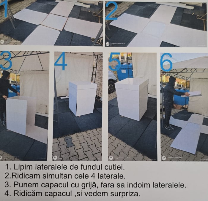 Cutie cu capac ,,Baby reveal” [3]