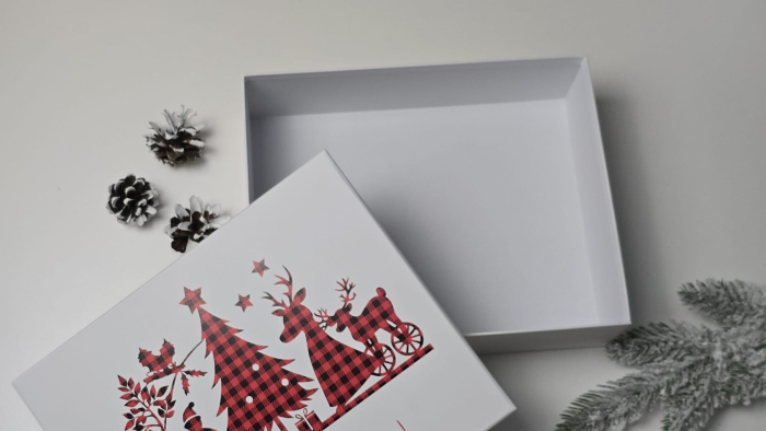 Cutie dreptunghiulară, cu capac - 250x200x70h [2]